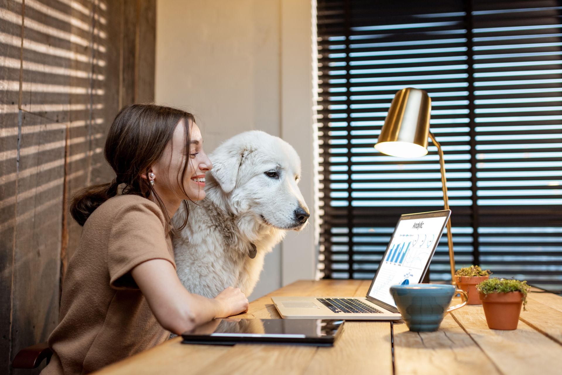 animaux au travail